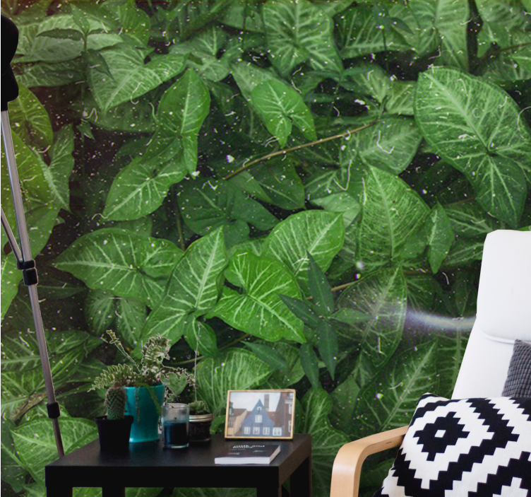 Fototapete Wald Schöne sonnige grüne blätter - TenStickers