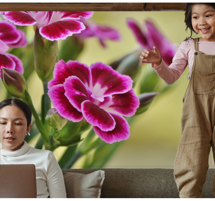 Fototapete Andere Blumen Nahaufnahme nelke - TenStickers