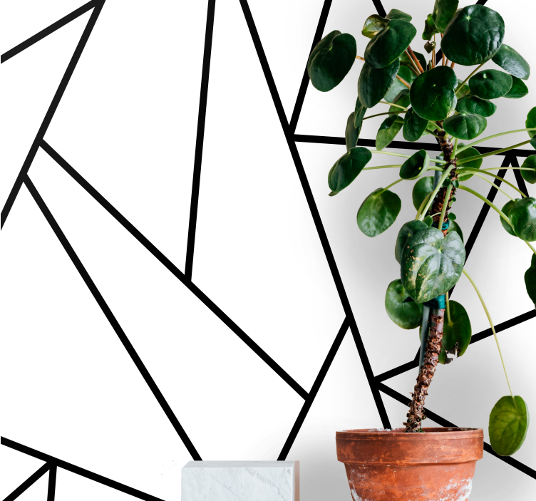 Fototapete Wohnzimmer Schwarze geometrische linien - TenStickers