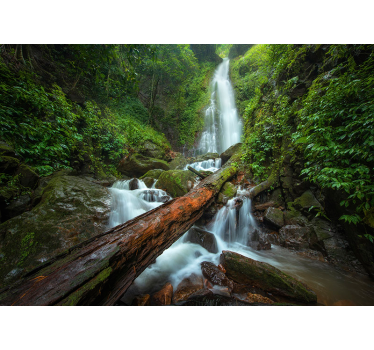 Wasserfall wald Fototapete - TenStickers