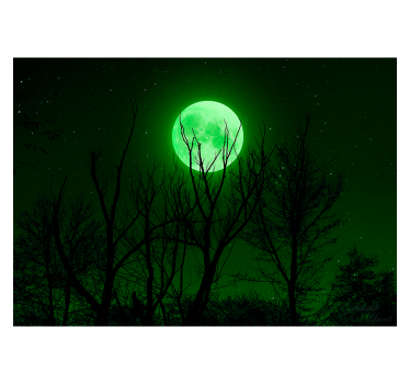 Grüner Mond Fototapete - TenStickers