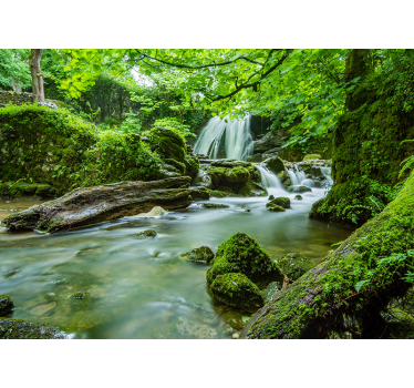 Fluss in einem Wald 3D Tapete - TenStickers