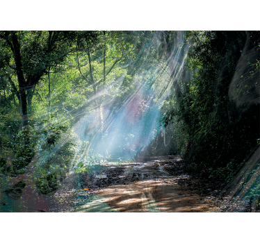Natur Fototapete 3d-tiefeneffektwald - TenStickers