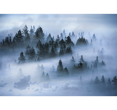 Fototapete natur haze in den immergrünen wäldern - TenStickers
