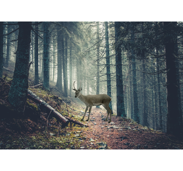 Natur Fototapete Weg im wald mit einem reh - TenStickers