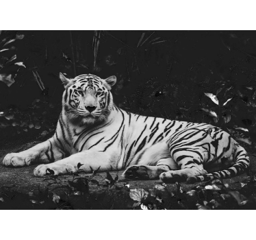 Fototapete Wand Weißer tiger ruht - TenStickers