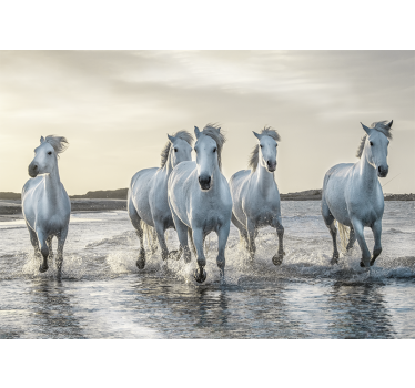 Fototapete tiere galoppierende weiße hengste - TenStickers