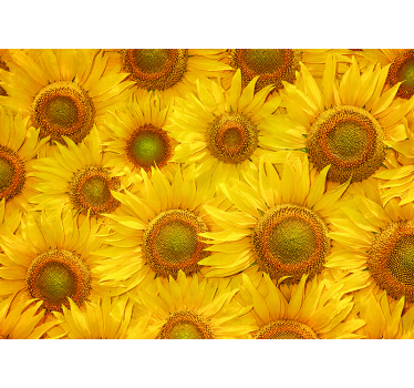 Fototapete Wohnzimmer sonnenblumen - TenStickers