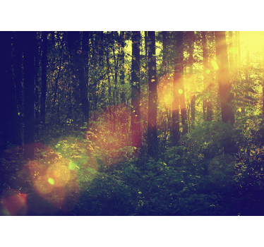 Natur Fototapete Laubwald - TenStickers