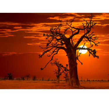 Afrikanischer Sonnenuntergang Natur Fototapete - TenStickers