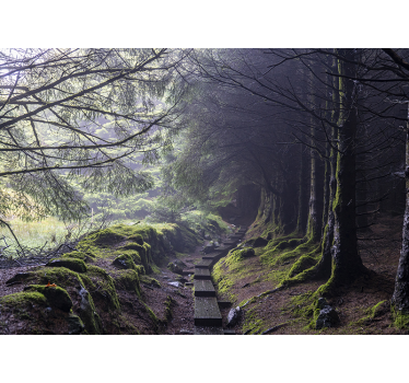 Fototapete Dunkler-Wald - TenStickers