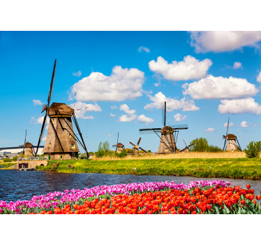 Fototapete Blumen Mühlen und tulpen - TenStickers