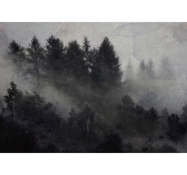 Wald Fototapete Nebliger wald - TenStickers