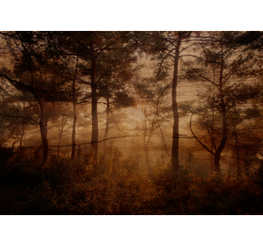 Stein Fototapete Wald auf dem wald - TenStickers