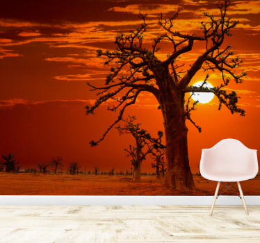 Afrikanischer Sonnenuntergang Natur Fototapete - TenStickers