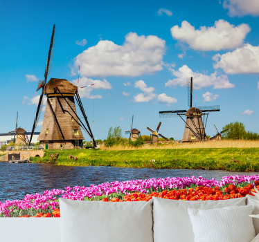 Fototapete Blumen Mühlen und tulpen - TenStickers