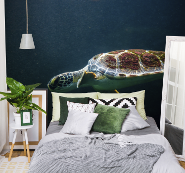 Fototapete Meer Schwimmende Schildkröte - TenStickers