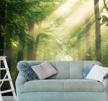 Fototapete natur sonne zwischen baumstämmen - TenStickers