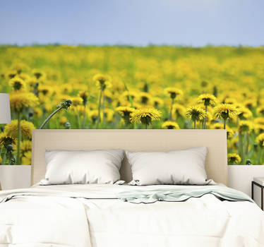 Gelbes Löwenzahnfeld Blumen Fototapete - TenStickers