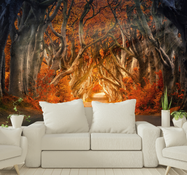 Herbst Sonnenaufgang Wald Fototapete - TenStickers