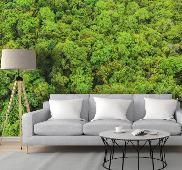Luftbild Wald Landschaft Fototapete - TenStickers