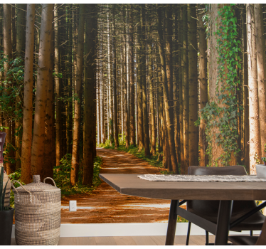 Natur Fototapete 3D waldweg - TenStickers