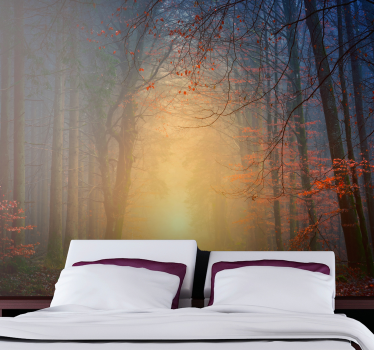 Natur Fototapete Heller wald - TenStickers