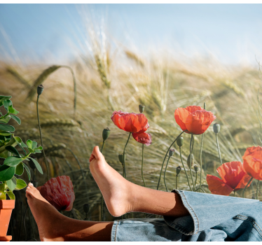 Natur Fototapete Mohn im sommerweizen - TenStickers