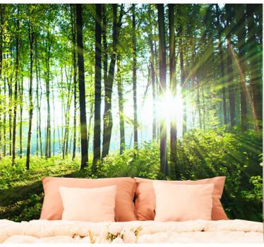 Natur Fototapete Waldlandschaft mit lichtreflexion - TenStickers