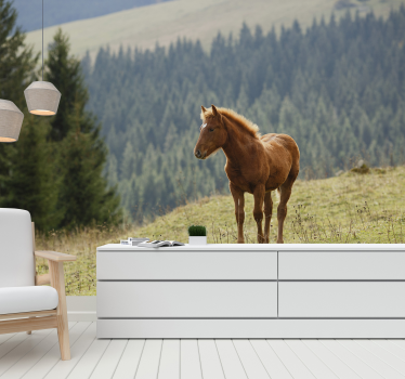 Wald Fototapete mit Pferd - TenStickers