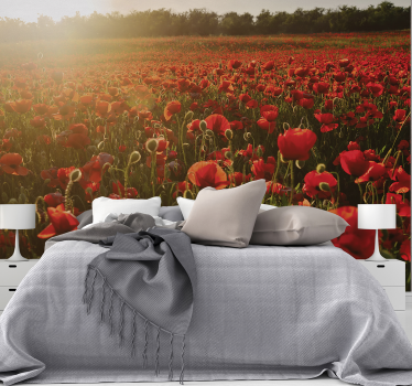Rote Mohnblumen Sonnenuntergang florale Fototapete - TenStickers