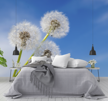 Fototapete mit drei Pusteblumen - TenStickers