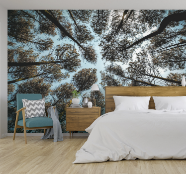 Wald von unten Natur Fototapete - TenStickers
