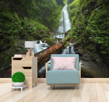 Wasserfall wald Fototapete - TenStickers