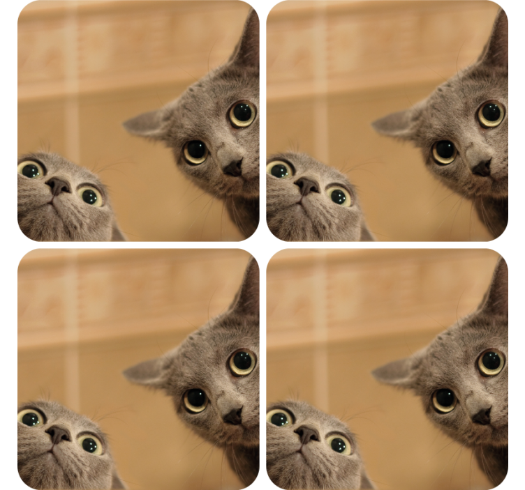 Untersetzer Geek neugierige katzengesichter - TenStickers