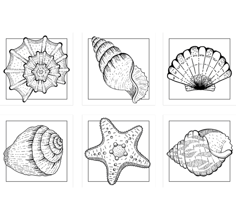 Untersetzer mit filigranen muschelmustern - TenStickers