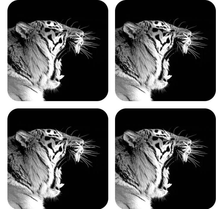 Untersetzer Modern Weißer tiger - TenStickers