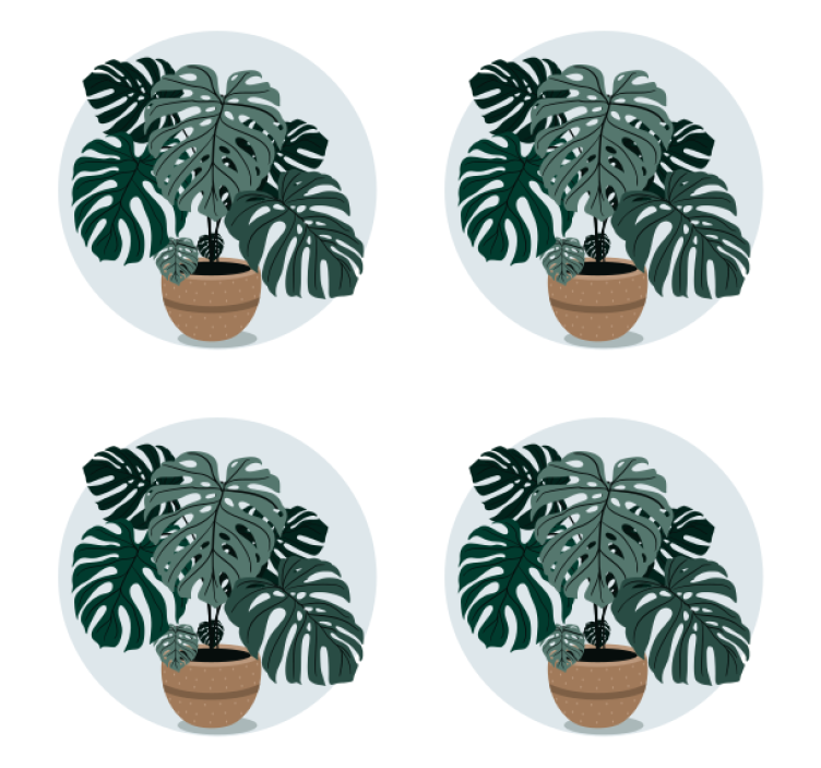 Untersetzer modern mit monstera pflanzenillustration - TenStickers