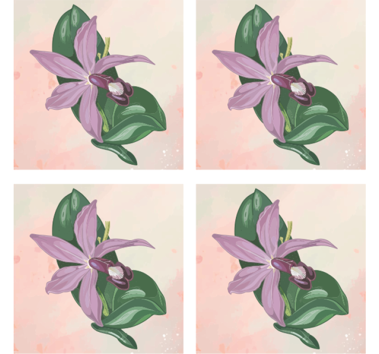 Untersetzer modern elegante orchideenblüte - TenStickers