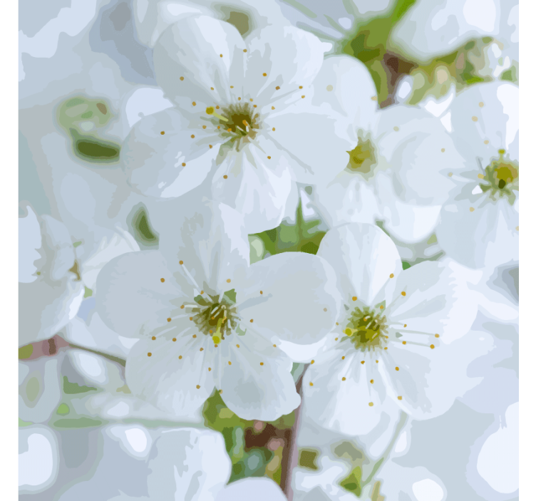 Untersetzer mit zarten kirschblüten - TenStickers