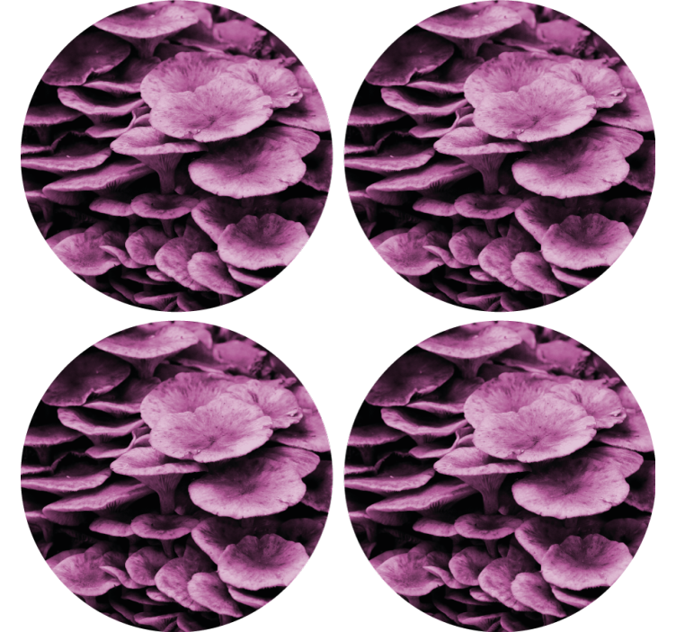 Untersetzer modern Rosa pilze kiemen - TenStickers