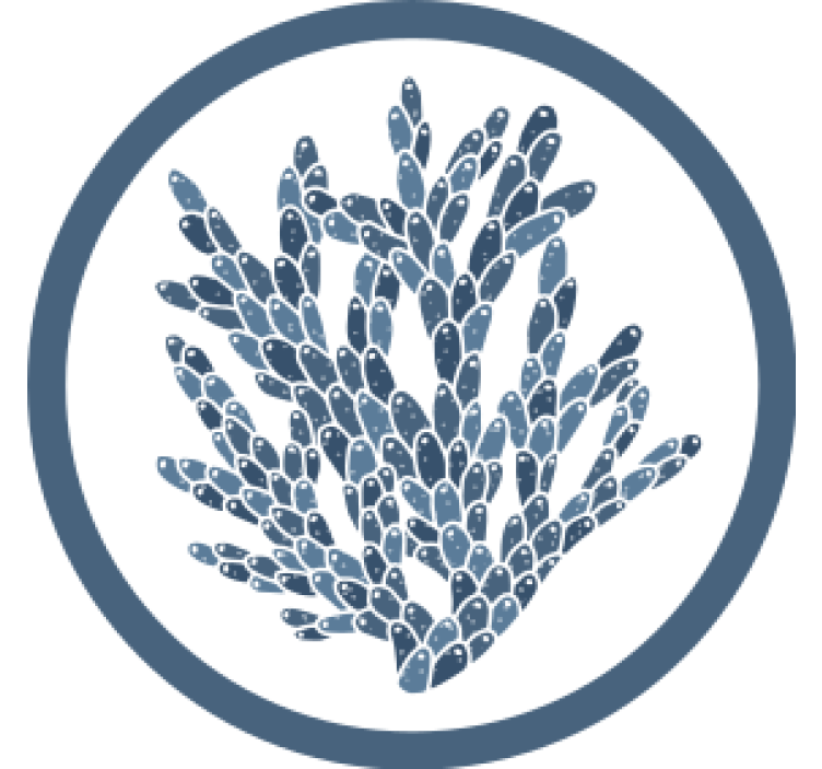 Untersetzer mit abstraktem korallenmuster - TenStickers