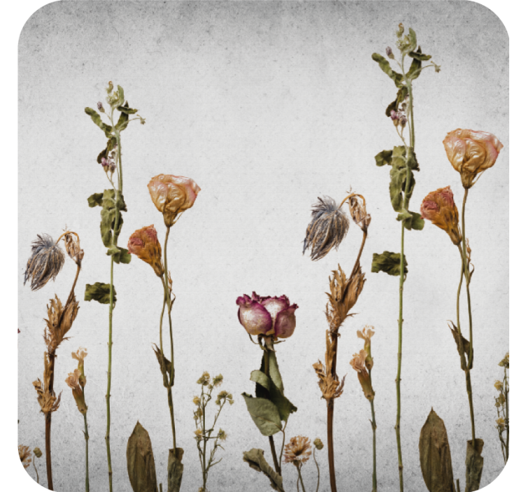 Untersetzer mit getrocknetem blumenarrangement - TenStickers