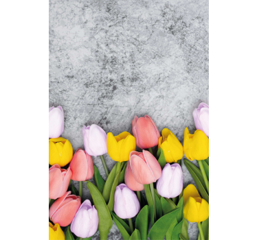 Poster küche Ähnliche tulpenblumen - TenStickers