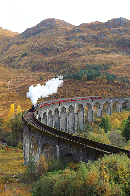 realistisches Fotoposter fahrender zug - TenStickers