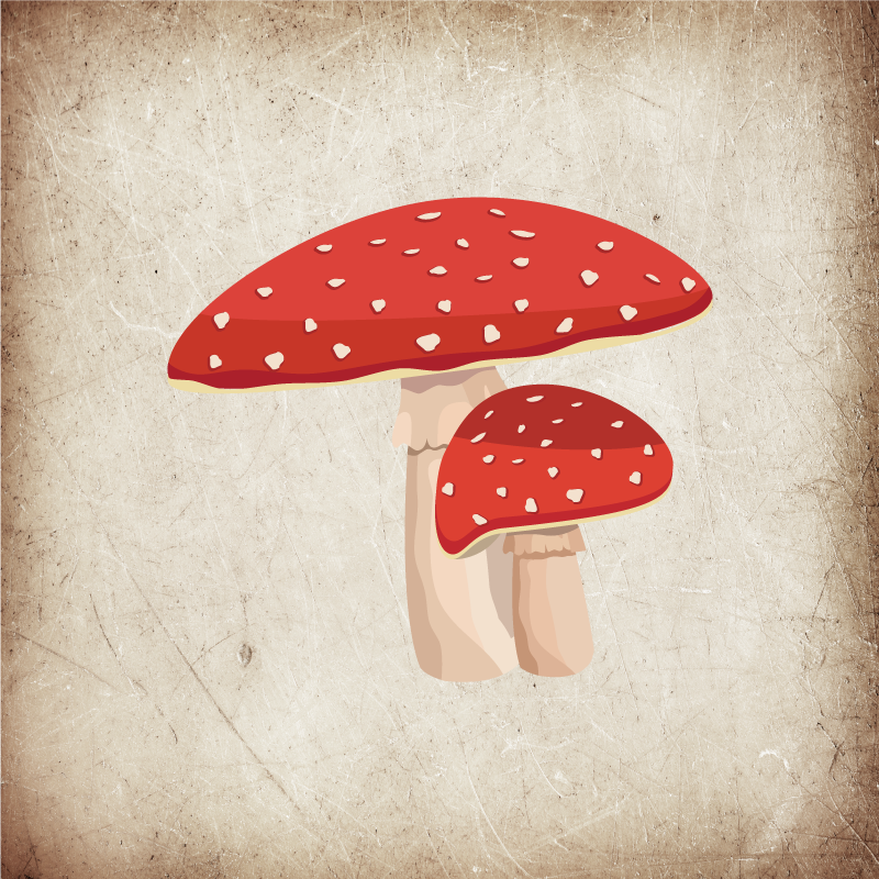 Poster küche amanita-pilz illustration - TenStickers