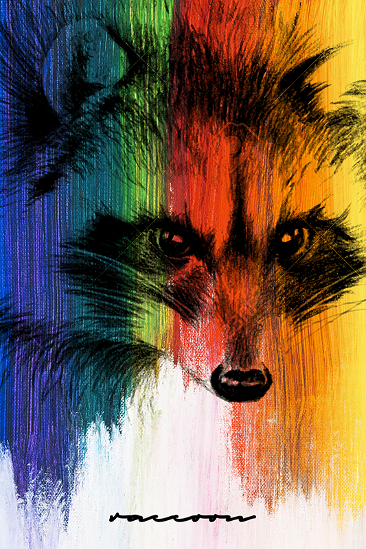 Poster wohnzimmer mit regenbogen waschbär - TenStickers