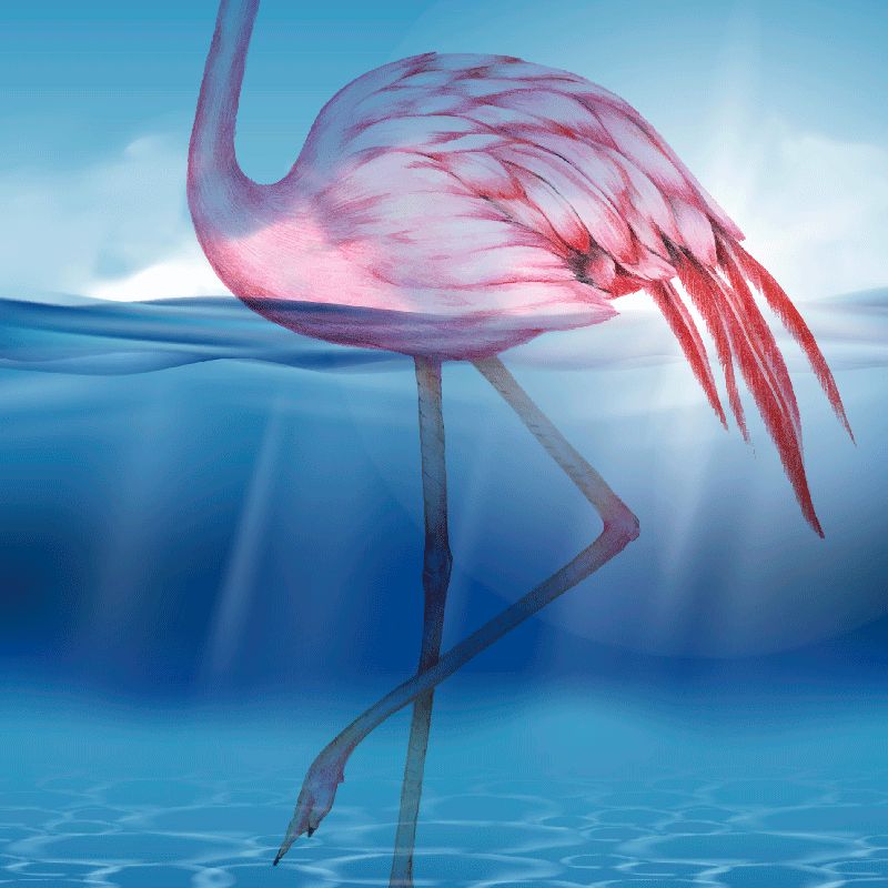 Poster wohnzimmer flamingo unterwasserdesign - TenStickers