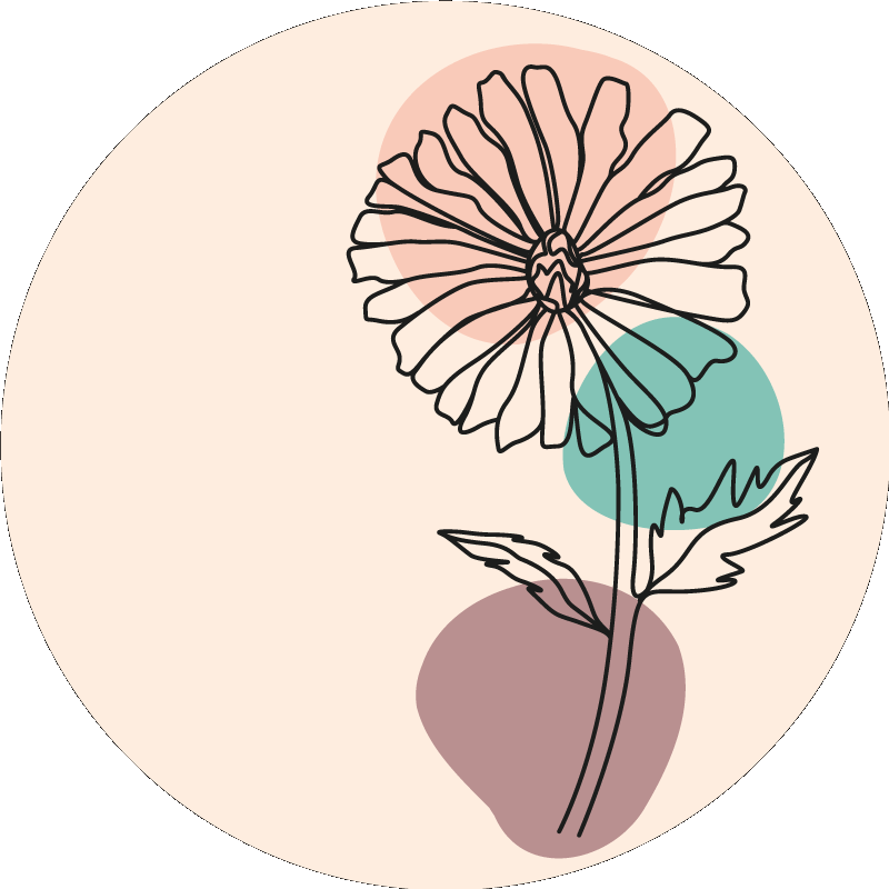 Poster blumen und pflanzen gänseblümchen linienkunst - TenStickers