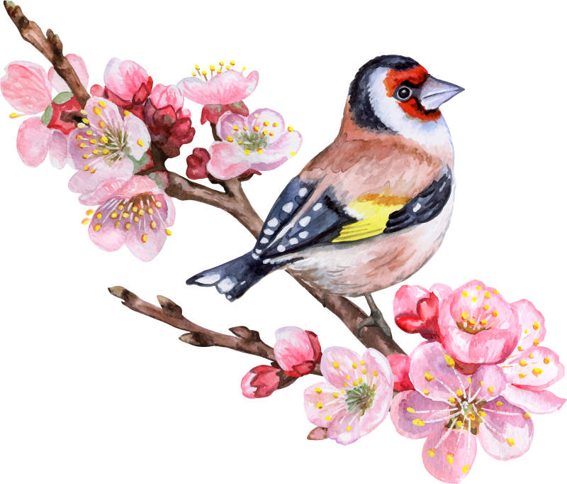 Poster baum mit frühlingszweigen und vögeln - TenStickers